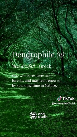 Dendrophile: The Love for Trees Explained
