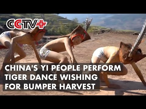 China's Yi People Perform Tiger Dance Wishing for Bumper Harvest
