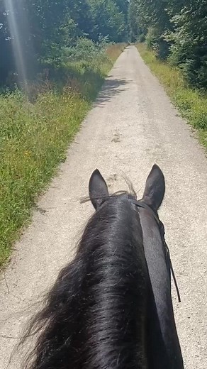 Schnuckel_ (@schnuckel_)’s videos with The Feeling - Lost Frequencies & Bonn