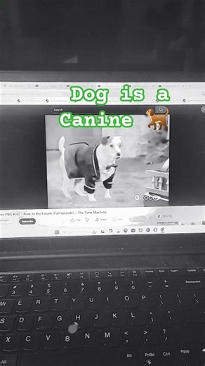 Ingrid Creel is Ready for a New and Special Gifts #funny #lostmedia #nostalgia #meme