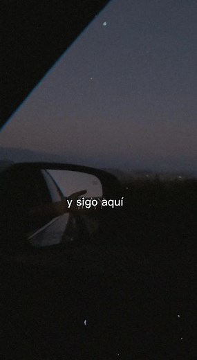 #airbag #caeelsol #musica #tumbr #lapecadora4 #letras #lapecadora4 #ilustration #parati #fypシ