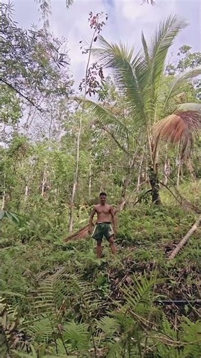 Ako si Tarzan