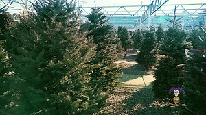 53K views · 365 reactions | Nick’s for the Holidays We transform our...