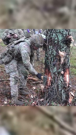 Controlled Demolition Training on Trees #shorts #military