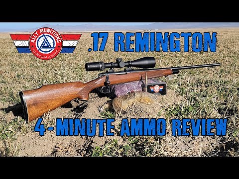 Ally Munitions .17 Remington Ammunition - 4 Minute Ammo Review and Hunt