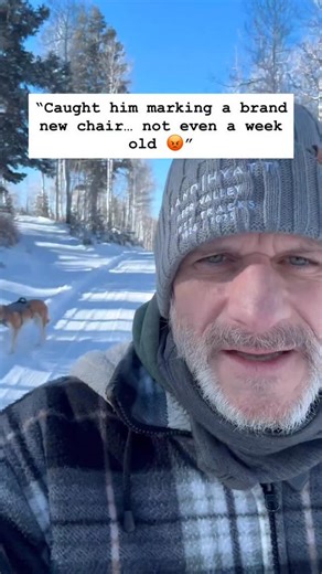 4.1K views · 60 reactions | Walking Rusty and still shaking my head....