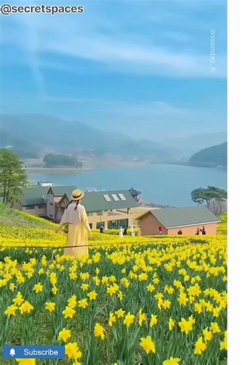🌿🇰🇷 South Korea's natural beauty looks straight out of a dream! From majestic mountaineering