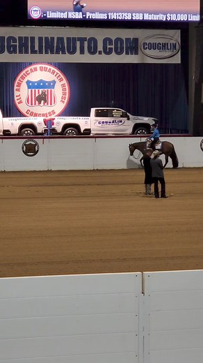 Western Pleasure 🩵 | Blue Pine Quarter Horses