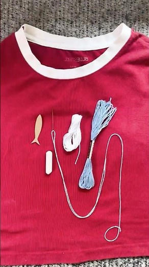 Bordado de Sardinha 🐟 Simples e Fácil | Bordado à Mão para Iniciantes #diy