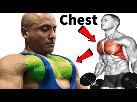 "Ultimate Chest Workout | Build Strength & Mass Effectively!"