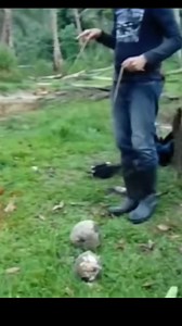 Big Volume of Deposit ang sign mo ka TH 😲 Panoorin ( PARTIAL DECODING) #2023viralvideo #fypシ゚viralシ #viralreels #treasurehunt #fyp #treasurehunter #entertainment #YamashitaTreasure #treasuremaker #treasurehunting | AJ Namoto