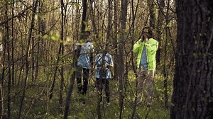 Group of lifesavers volunteers searching for a missing person, calling their name in the woods and going through the trees to track steps. Search squad rescuers looking for a lost victim. Camera B.