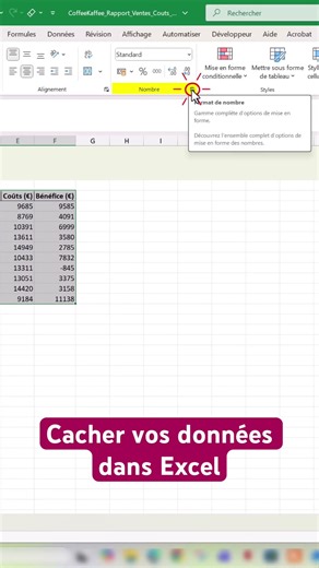 🇫🇷~ Comment masquer vos données dans Excel tout en continuant à les utiliser