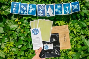 Cyanotype Kit: Easy to Use Sun Printing Kit by Daisy Bow Craft - Etsy