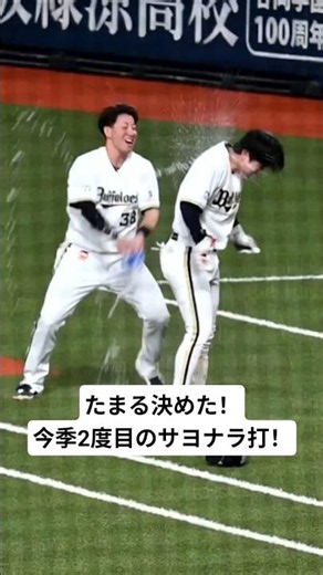 【太田椋】2026.7.24 9回に同点に追いついてからの敬遠策に燃えた！ 今季2度目となる太田のサヨナラ打！カードの頭を取って連敗ストップ！ #オリックスバファローズ #太田椋