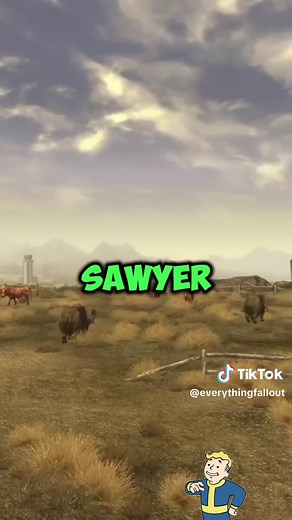 The Impact of the Lone Wanderer in Fallout New Vegas