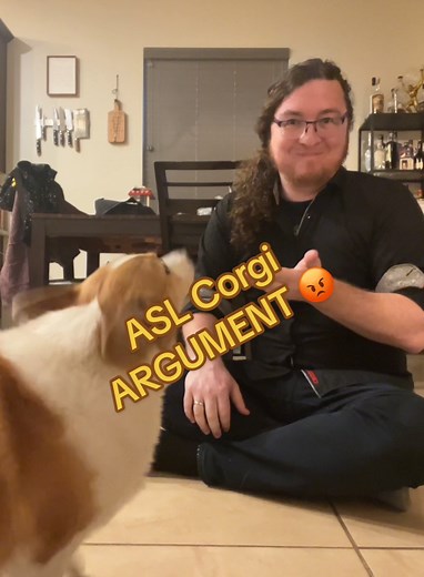 #signlanguage #corgi tricks ! #asl #fyp #foryou #foryoupage | The Signing D