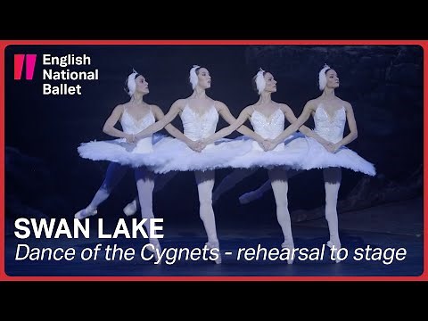 Swan Lake: Cygnets from rehearsal to stage (extract) | English National Ballet