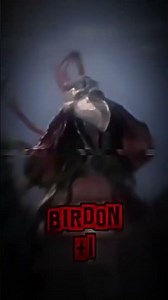 Zoffy vs Birdon