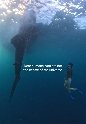 Why Wildlife Matters: The Ocean and Earth's Living Web