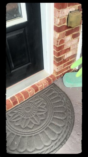 Cement Pavers: The Oddly Satisfying Transformation