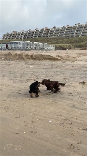 Helma Lodders on Reels