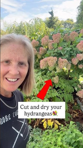 How To Create A VERY Long-Lasting Bouquet With Hydrangeas