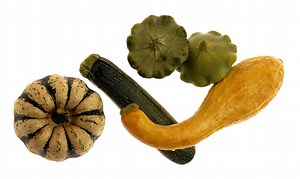 The Smallest Bush Type of Summer Squash Varieties