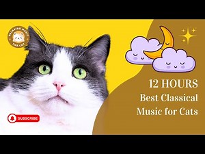 Best Classical Music for Cats 12 Hours 🎶 Relaxing Music for Cat 🐱