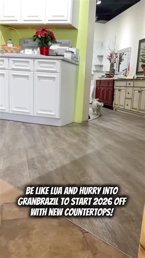 Be like Lua 🐶✨ and hurry into GranBrazil to start 2026 off on a good note with brand new countertops! Hours: • Monday–Friday: 8am–5pm • Saturday: 8am–12pm 📍 120 Clifty Drive, Madison, IN 47250 📞 812-574-2222 💬 DM us for more information #GranBrazil #Countertops | GranBrazil, Inc.