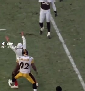 When James Harrison tackled a Browns fan.😆 | Sports Radio 96.7