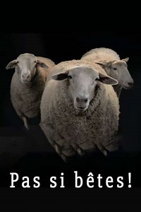 Pas si bêtes! (2020) - TV Show