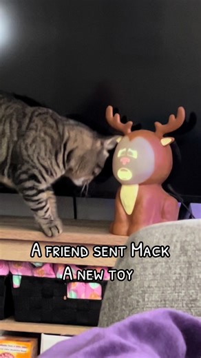 Mama Macklemore 💙💙💙 (@macklemore_bigmac)’s videos with Christmas Is Coming - DM Production