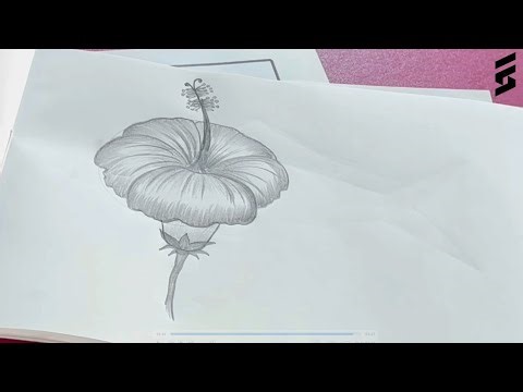 Flower Drawing | How to Draw a Flower with Color