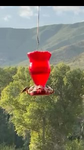 From Sheila Wright in New Castle , Colorado. | Wes Wyatt WBRC