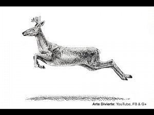 Cómo dibujar un venado