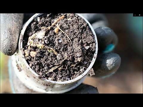 Biodiversité des sols et décomposition de la matière organique