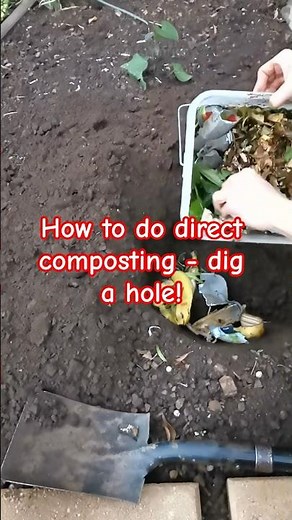 Garden tips 7 - Simple method to enrich your garden soil #gardening #composting #enrich