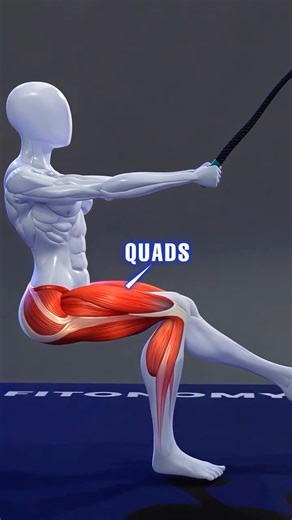 Squat Challenge on Instagram: "How to Train Quads With Cables Cables keep constant tension on your quads when done right. Use heel-elevated cable squats to stay upright, narrow-stance lunges to overload the front thighs, sissy squats for deep knee-over-toe tension, leg extensions to isolate, and pistol squats to finish with control and balance. Train smarter with @fitonomyapp 💪 #quadworkout #cableworkout #legday #gymtips #fitnesstips"