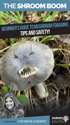Ready to dive into mushroom foraging? Step outside and explore, then check a local field guide to identify what's around you. Join online groups for extra help, and never eat a mushroom unless you're 100 million thousand percent sure it's safe. Stay curious and enjoy the journey!  #MushroomHunting #NatureAdventure | Garden Culture Magazine | Facebook