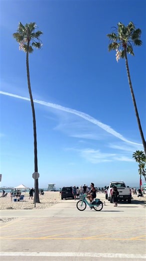 #Vibes California Living Relax and cool ✨ Started with mystery movie vibes and ended with the perfect beach day. 🌫️➡️😎 That’s coastal weather for you: early fog, bright sun later.🚐✨ From a gray, minimalist landscape to a vibrant tropical paradise. Patience in California always pays off. 🌊🐕 #LONGBEACH #California #LosAngeles #dogbeach