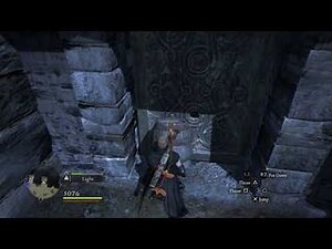 Dragon's Dogma- DA Moonbeam doors glitch