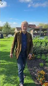 Does the Moon Affect Plant Growth? Comparing Celeriac