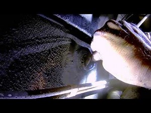 7.3 Powerstroke dipstick oil leak repair