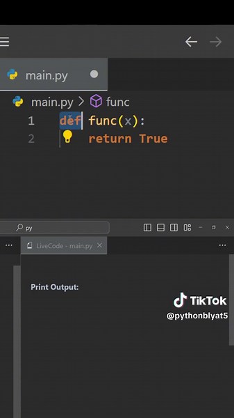 Blyaaaat! #codingmemes #viral #pythonteacher #codingtutorial #pythonprogramming #coding #programming #trending