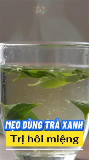 Sự thật về cách súc miệng bằng Trà Xanh: Trị dứt điểm hôi miệng 0 đồng | Biết Là Nhàn