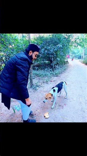 humanitys story by himel #shorts