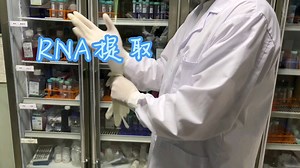科研必备技能，Trizol法提取RNA，记录枯燥的科研生活