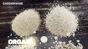 Organic Coarse Vermiculite for Indoor Gardening Plants and Mushrooms – Enhances Soil Aeration, Seed Germination, Rooting Cuttings – Small Packages and Bulk (Vermiculite Grade 4 – Coarse, 1 qt)