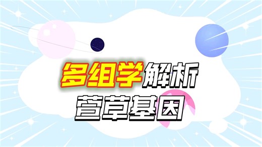 小诺课堂-文献解读第82期